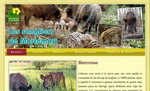 Élevage de sangliers et de volailles en Dordogne